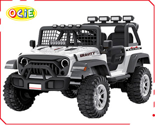 RECHARGEABLE CAR W/ RC