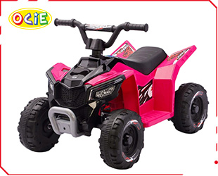 RECHARGEABLE ATV