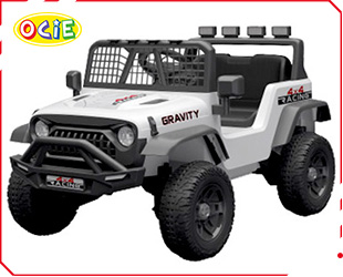 RECHARGEABLE CAR W/ RC