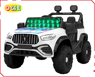 RECHARGEABLE CAR W /RC