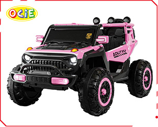 RECHARGEABLE CAR W/ RC