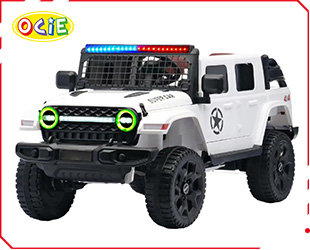 RECHARGEABLE CAR W/ RC