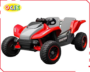 RECHARGEABLE CAR W/ RC