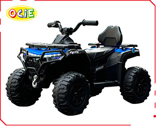 RECHARGEABLE CAR W/ RC