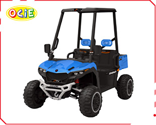 RECHARGEABLE CAR W/ RC