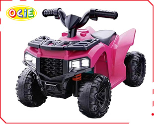 RECHARGEABLE ATV