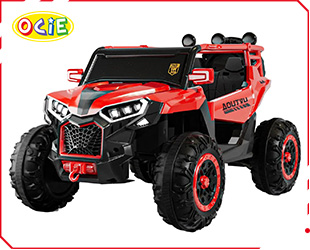 RECHARGEABLE CAR W/ RC