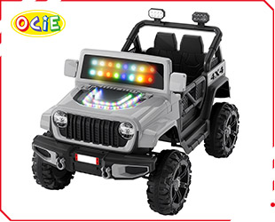 RECHARGEABLE CAR W/ RC