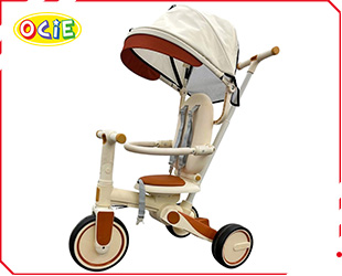 TRICYCLE