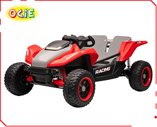 RECHARGEABLE CAR R/C