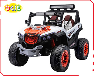 RECHARGEABLE UTV R/C