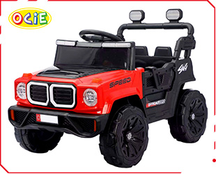 RECHARGEABLE UTV R/C