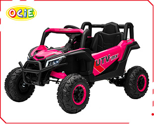RECHARGEABLE UTV R/C