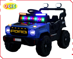 RECHARGEABLE UTV R/C