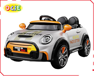 RECHARGEABLE CAR W/ RC