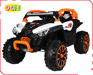 RECHARGEABLE CAR W/ RC