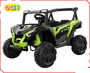 RECHARGEABLE CAR W/ RC