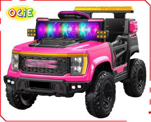 RECHARGEABLE CAR W/ RC