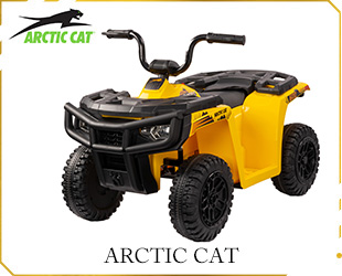 RECHARGEABLE ATV CAT LICENSE