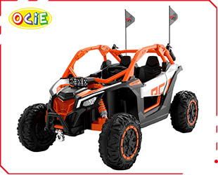 RECHARGEABLE CAR W/ RC