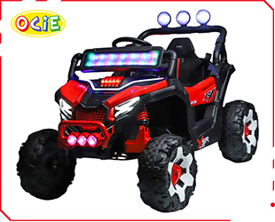 RECHARGEABLE CAR W/ RC