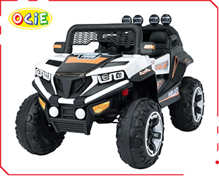 RECHARGEABLE UTV