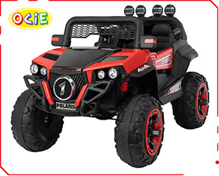 RECHARGEABLE UTV