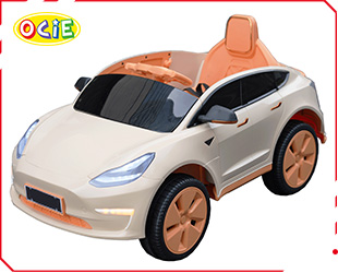 RECHARGEABLE CAR W/ RC