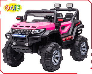 RECHARGEABLE CAR R/C