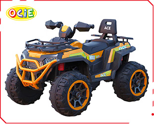 RECHARGEABLE ATV