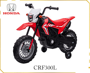 RECHARGEABLE CRF300L LICENSE