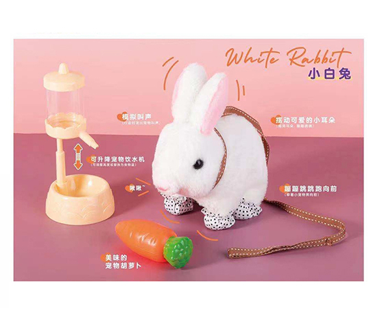 ELECTRIC RABBIT
