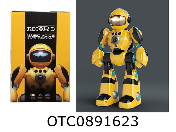 INTELLIGENT VOICE ROBOT