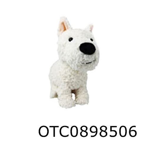 B/O DOG