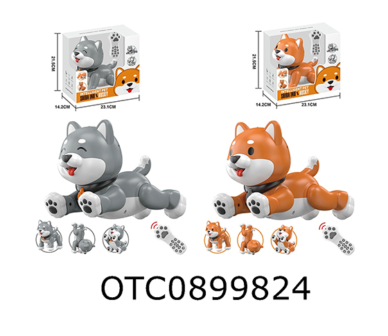 R/C DOG