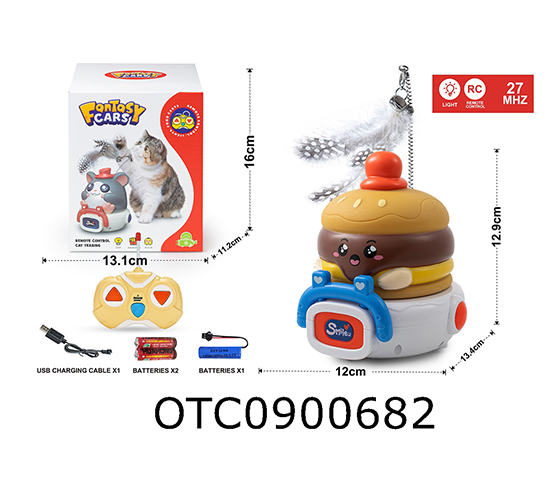 R/C CAR