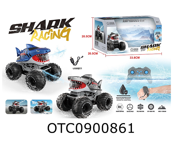 R/C CAR
