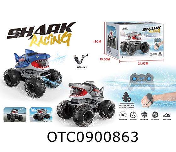 R/C CAR