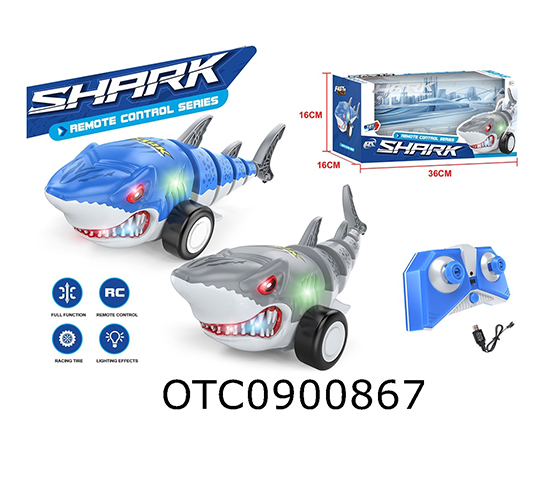 R/C CAR