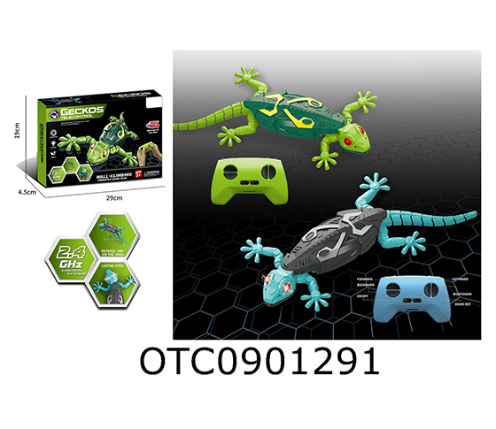 R/C  GECKO