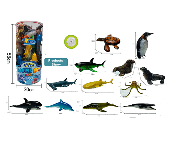 MARINE ANIMAL 