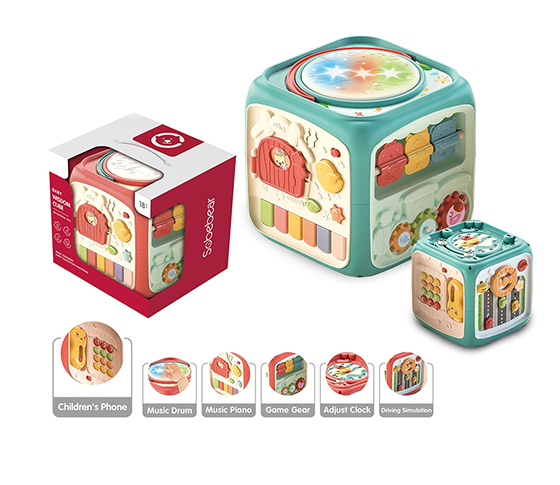 WISDOM CUBE 