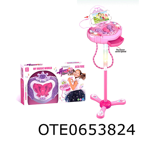 MICROPHONE SET