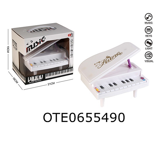  ELECTRONIC ORGAN