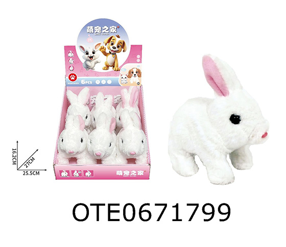 B/O RABBIT