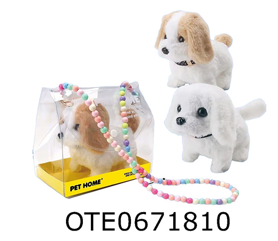 B/O RABBIT