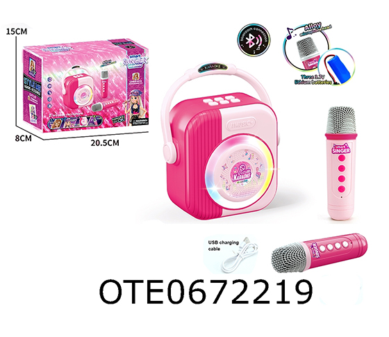MICROPHONE SPEAKER