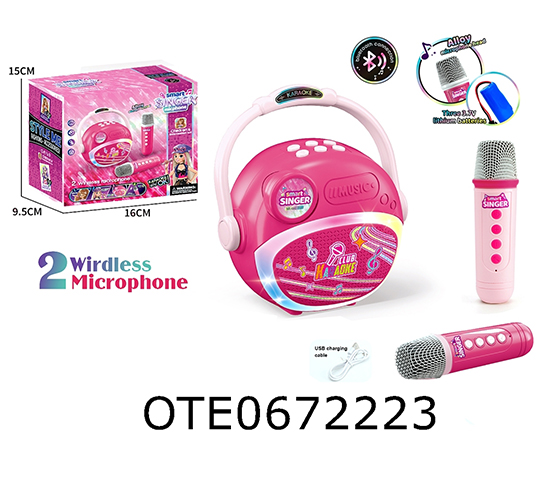 MICROPHONE SPEAKER