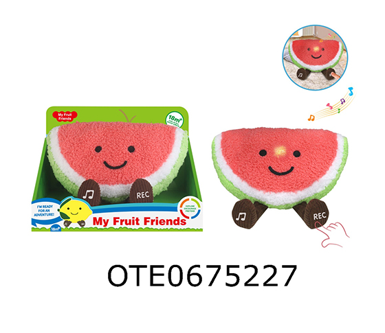 PLUSH WATERMELON