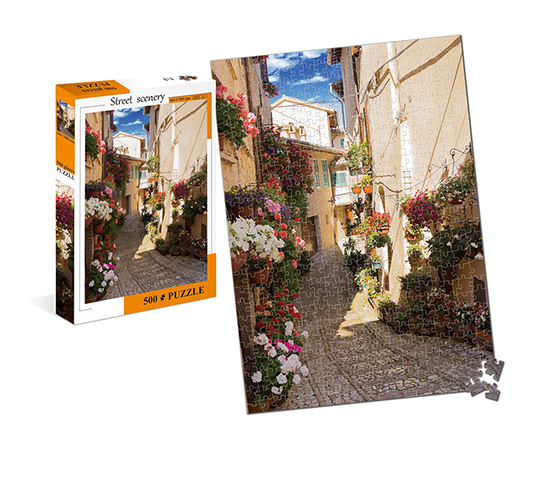 500PCS PUZZLE